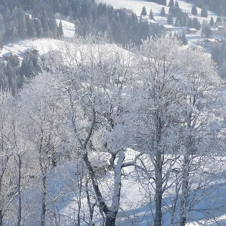 Chalet Le Bouquetin