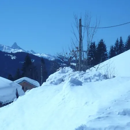 Appartement Chalet Le Bouquetin Les Gets